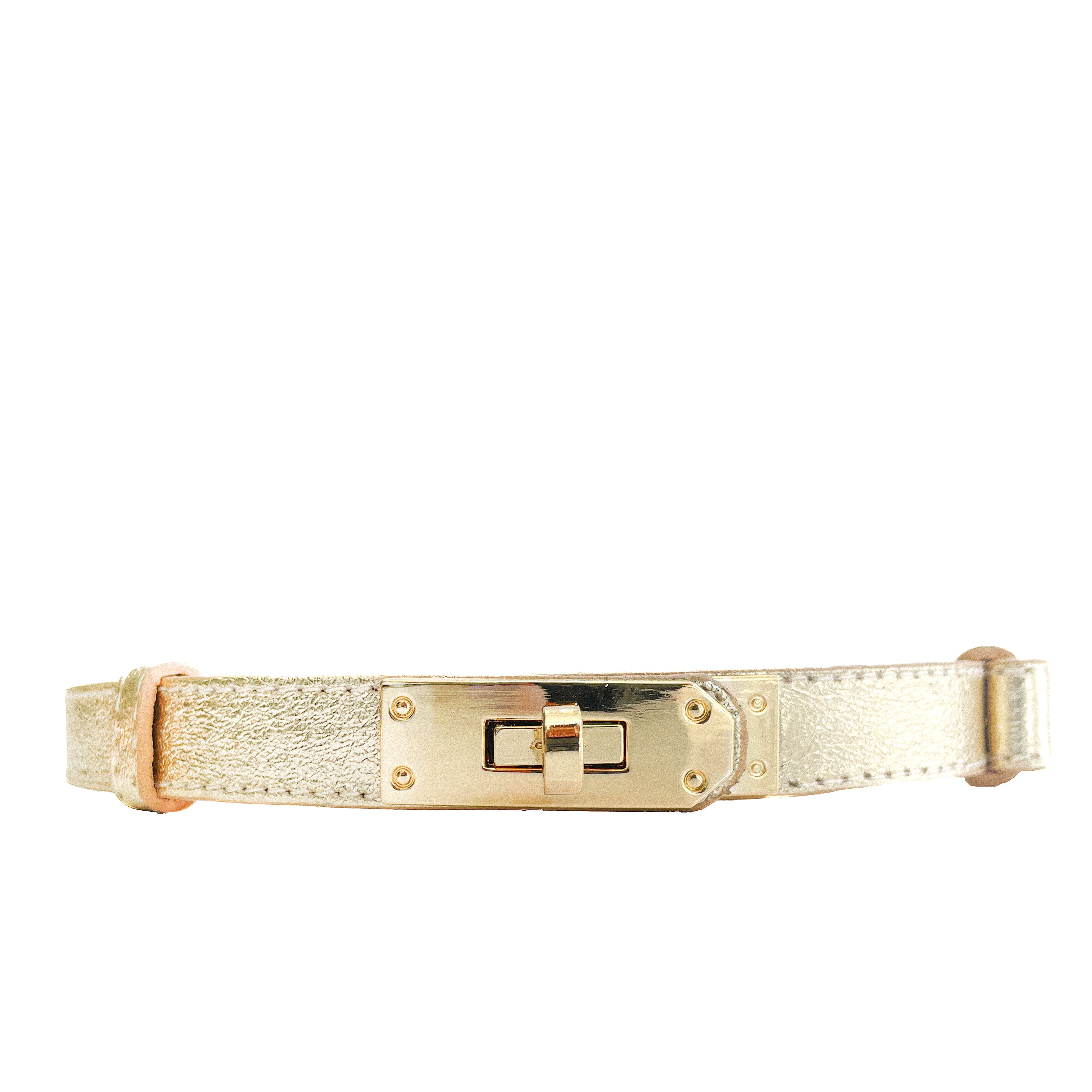 Cassandra-belt-laminato-platino-regolabile-pelle-vista-frontale