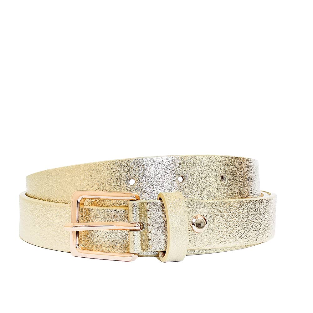 EMILIE-BELT-accessori-vista-frontale-vitello-laminato-platino