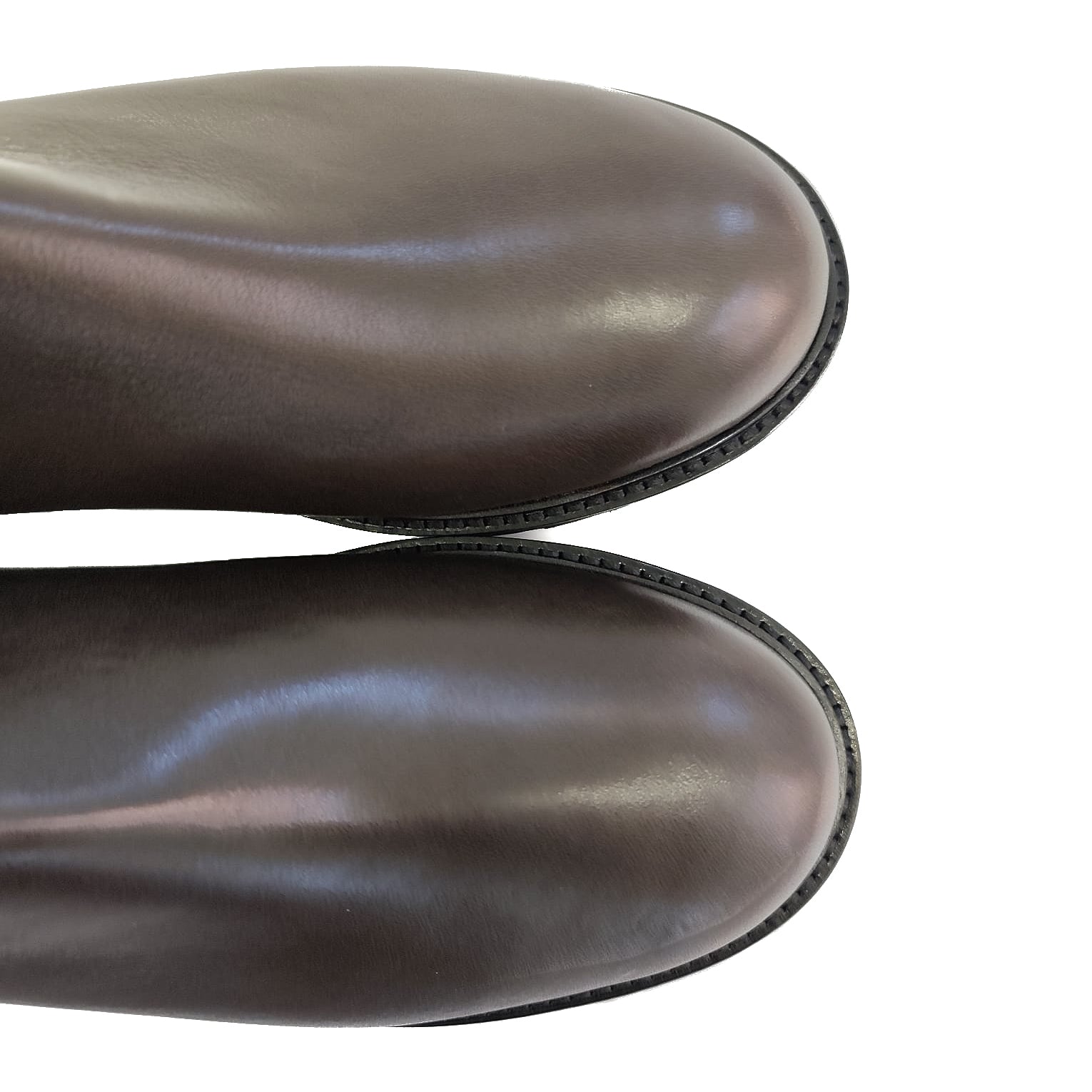 ZOE-beatles-basso-vista-punta-vicino-paio-vitello-testa-di-moro